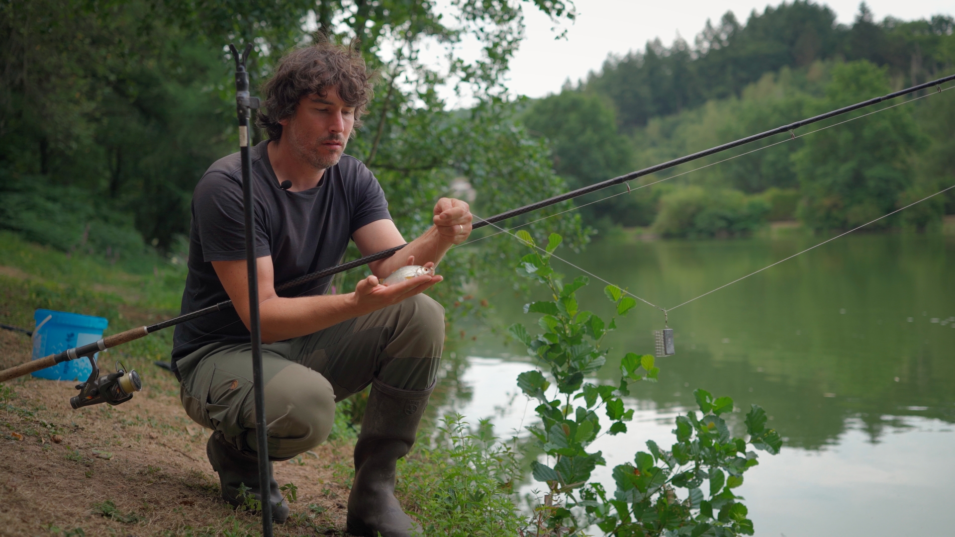 Begutachtung des Fangs