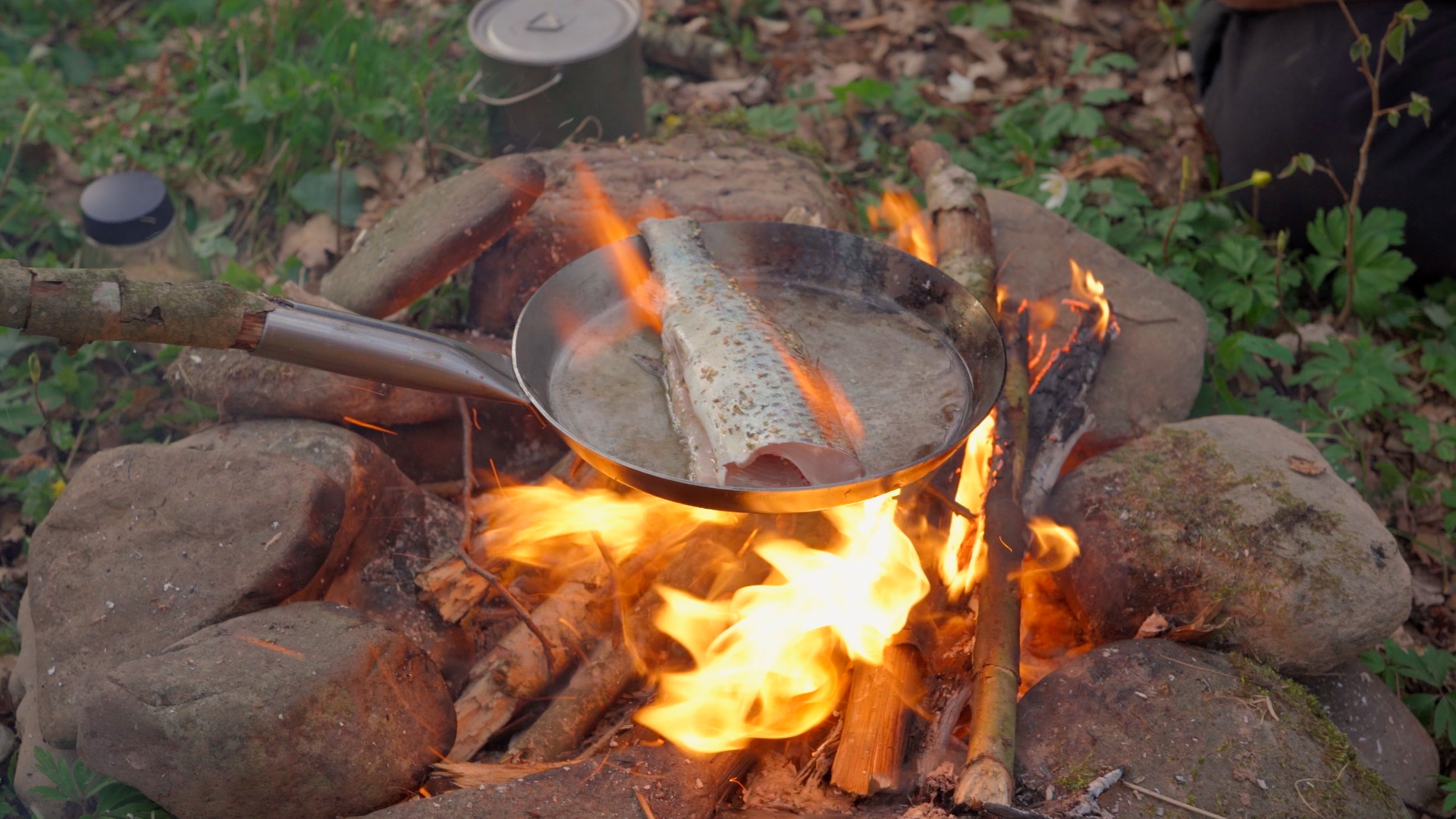 Fisch in Pfanne auf Holzfeuer